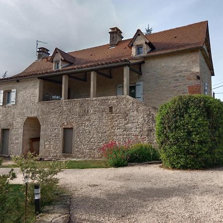 Gîte indépendant Au merle chanteur Laramiere Extérieur photo